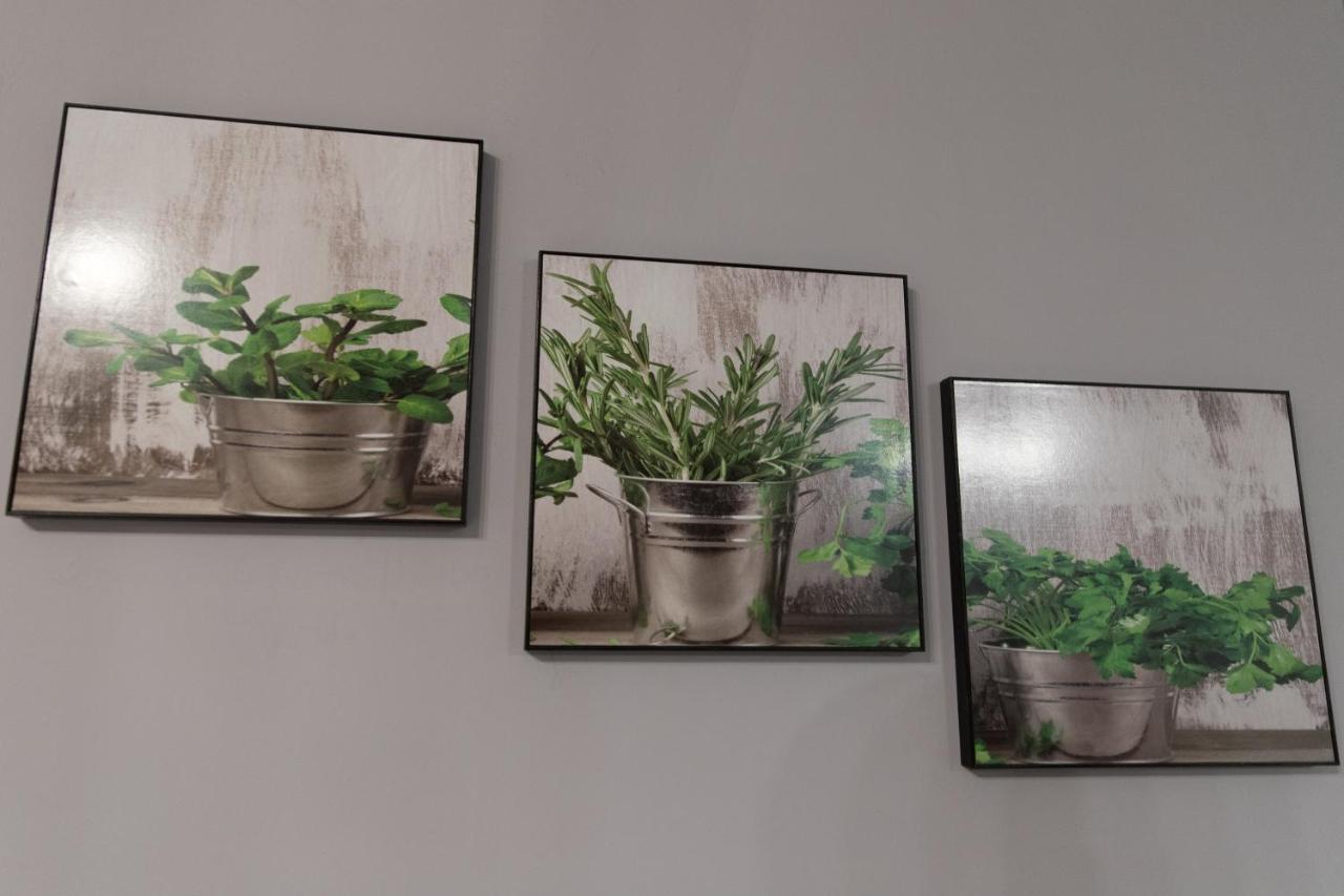 Apartament Marlenka Nysa Exteriör bild